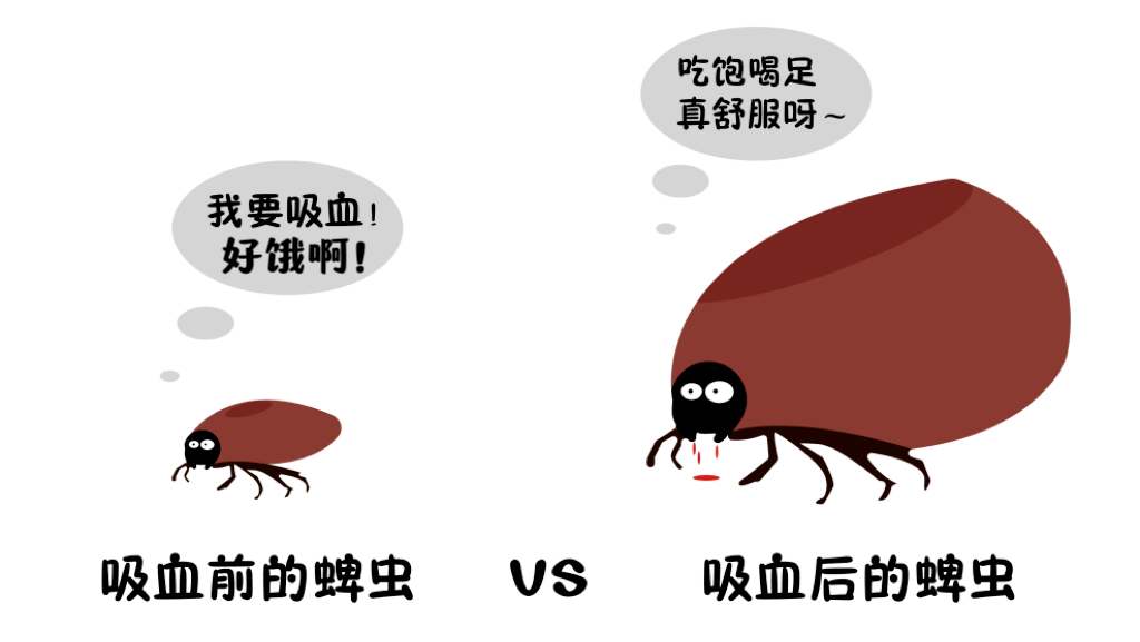 谈球吧