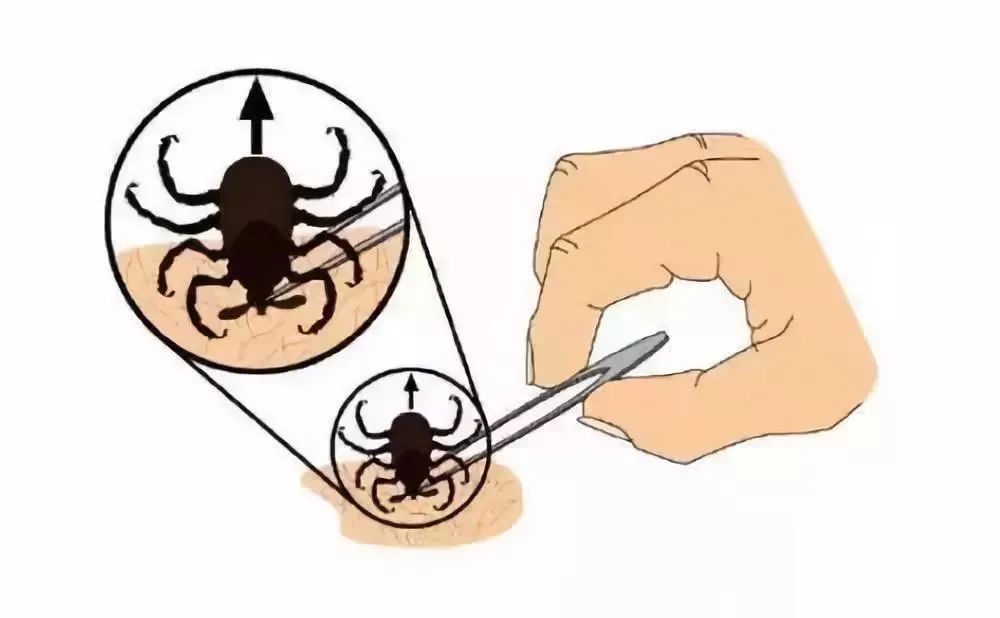 谈球吧