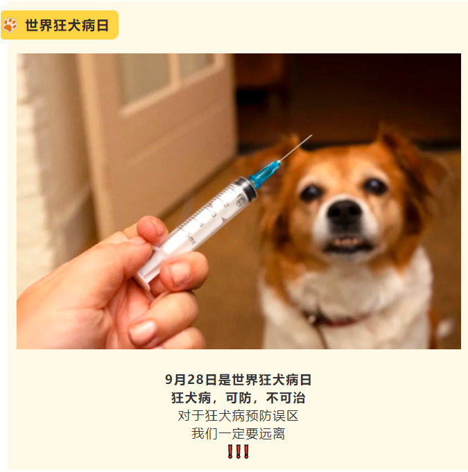 谈球吧