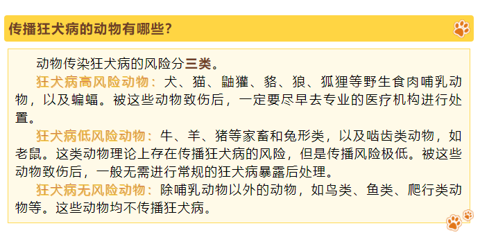 谈球吧