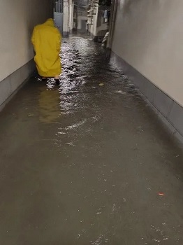 谈球吧