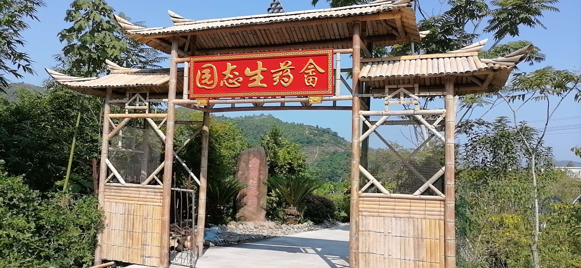 谈球吧